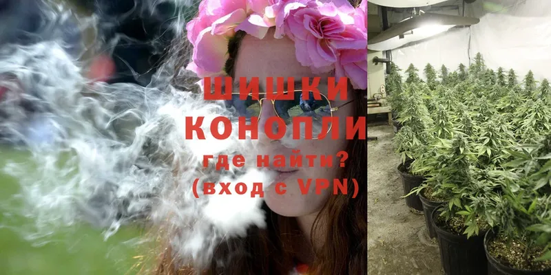 Бошки Шишки OG Kush  Петровск-Забайкальский 